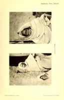 Picture 9 of 18 from Die Mazigh-völker : ethnographische notizen aus Süd-Tunesien (1914), leaf 41