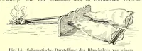Picture 14 of 18 from Die Mazigh-völker : ethnographische notizen aus Süd-Tunesien (1914), leaf 57