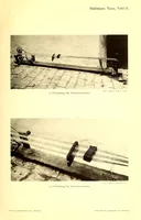 Picture 17 of 18 from Die Mazigh-völker : ethnographische notizen aus Süd-Tunesien (1914), leaf 71