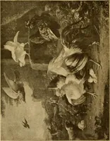An illustration from Die Meisterwerke der Königl. Gemälde-Gallerie zu Dresden : 223 Kunstdrucke nach den Originalgemälden (1900)