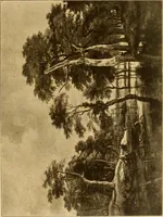 Picture 137 of 196 from Die Meisterwerke der Königl. Gemälde-Gallerie zu Dresden : 223 Kunstdrucke nach den Originalgemälden (1900), leaf 144