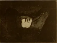 Picture 160 of 196 from Die Meisterwerke der Königl. Gemälde-Gallerie zu Dresden : 223 Kunstdrucke nach den Originalgemälden (1900), leaf 166