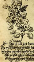 An illustration from Die mit teutschen Saiten überzogene, heilige Kron-Harffe, oder, Verfassung des gantzen Psalter Davids in teutsche Reim-Gebände : vermittelst sonderbarer darzu mit dem basso continuo, neu-verfertigter Kunst-Melodeyen ... (1680)