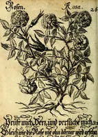 An illustration from Die mit teutschen Saiten überzogene, heilige Kron-Harffe, oder, Verfassung des gantzen Psalter Davids in teutsche Reim-Gebände : vermittelst sonderbarer darzu mit dem basso continuo, neu-verfertigter Kunst-Melodeyen ... (1680)