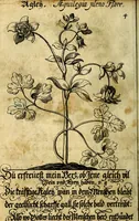 An illustration from Die mit teutschen Saiten überzogene, heilige Kron-Harffe, oder, Verfassung des gantzen Psalter Davids in teutsche Reim-Gebände : vermittelst sonderbarer darzu mit dem basso continuo, neu-verfertigter Kunst-Melodeyen ... (1680)