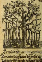 Picture 172 of 319 from Die mit teutschen Saiten überzogene, heilige Kron-Harffe, oder, Verfassung des gantzen Psalter Davids in teutsche Reim-Gebände : vermittelst sonderbarer darzu mit dem basso continuo, neu-verfertigter Kunst-Melodeyen ... (1680), leaf 415