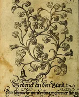 An illustration from Die mit teutschen Saiten überzogene, heilige Kron-Harffe, oder, Verfassung des gantzen Psalter Davids in teutsche Reim-Gebände : vermittelst sonderbarer darzu mit dem basso continuo, neu-verfertigter Kunst-Melodeyen ... (1680)