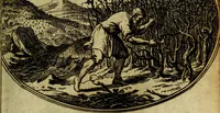 An illustration from Die mit teutschen Saiten überzogene, heilige Kron-Harffe, oder, Verfassung des gantzen Psalter Davids in teutsche Reim-Gebände : vermittelst sonderbarer darzu mit dem basso continuo, neu-verfertigter Kunst-Melodeyen ... (1680)