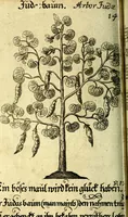 An illustration from Die mit teutschen Saiten überzogene, heilige Kron-Harffe, oder, Verfassung des gantzen Psalter Davids in teutsche Reim-Gebände : vermittelst sonderbarer darzu mit dem basso continuo, neu-verfertigter Kunst-Melodeyen ... (1680)