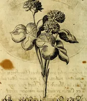 An illustration from Die mit teutschen Saiten überzogene, heilige Kron-Harffe, oder, Verfassung des gantzen Psalter Davids in teutsche Reim-Gebände : vermittelst sonderbarer darzu mit dem basso continuo, neu-verfertigter Kunst-Melodeyen ... (1680)