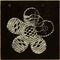 An illustration from Die Nadelspitzen : (Ite Serie) (1890)