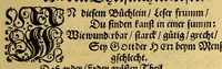 An illustration from Die neuntzehende Schiffarth, inhaltendt, Fünff Schiffarthen Samuel Brauns Burgers vnd Wund Artzt zu Basel, so er vor kurtzen Jahren in vnterschiedliche frembde Königreich vnd Landschafften glücklich gethan, nemlich, in Africam vnd dessen Provincien Congo, Bansa Loanga, Angola, Guinea, Morenland, Bennin, Amboisa, vnd zu dem festen Castell Nassaw in More. : Item gen Alexandriam in Syrien, in Portugall, Hispanien, Italien, wie auch vnterschiedliche Insulen, als da seynd die Canarien, Madera, Cales Males, Malta, Candia, Sicilein, Sardegna, Corfu, vnd andere mehr, biss zu seiner Widerkunfft in Hollandt (1626)