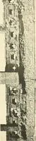 An illustration from Die Ornamente der Hakim- und Ashar-Moschee; Materialien zur Geschichte der älteren Kunst des Islam (1912)