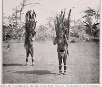 Picture 5 of 18 from Die Pangwe; völkerkundliche Monographie eines westafrikanischen Negerstammes; Ergebnisse der Lübecker Pangwe-expedition 1907-1909 und früherer Forschungen 1904-1907 (1913), leaf 131