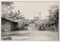 An illustration from Die Pangwe; völkerkundliche Monographie eines westafrikanischen Negerstammes; Ergebnisse der Lübecker Pangwe-expedition 1907-1909 und früherer Forschungen 1904-1907 (1913)