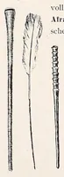 Picture 11 of 18 from Die Pangwe; völkerkundliche Monographie eines westafrikanischen Negerstammes; Ergebnisse der Lübecker Pangwe-expedition 1907-1909 und früherer Forschungen 1904-1907 (1913), leaf 242