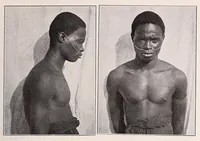An illustration from Die Pangwe; völkerkundliche Monographie eines westafrikanischen Negerstammes; Ergebnisse der Lübecker Pangwe-expedition 1907-1909 und früherer Forschungen 1904-1907 (1913)