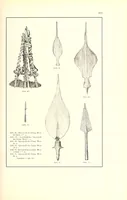 An illustration from Die Pangwe; völkerkundliche Monographie eines westafrikanischen Negerstammes; Ergebnisse der Lübecker Pangwe-expedition 1907-1909 und früherer Forschungen 1904-1907 (1913)