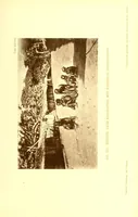 An illustration from Die Pangwe; völkerkundliche Monographie eines westafrikanischen Negerstammes; Ergebnisse der Lübecker Pangwe-expedition 1907-1909 und früherer Forschungen 1904-1907 (1913)