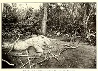 An illustration from Die Pangwe; völkerkundliche Monographie eines westafrikanischen Negerstammes; Ergebnisse der Lübecker Pangwe-expedition 1907-1909 und früherer Forschungen 1904-1907 (1913)