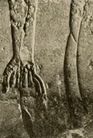 An illustration from Die Plastik der Ägypter (1922)