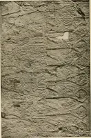 An illustration from Die Plastik der Ägypter (1922)