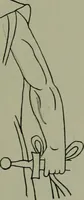 An illustration from Die praenestinischen Spiegel, ein Beitrag zur italischen Kunst- und Kulturgeschichte (1912)