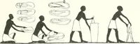 Picture 62 of 85 from Die Reliefs und Malereien des mittleren Reiches (VII.-XVII. Dynastie, ca. 2475-1580 v. Chr.) : Material zur agyptischen Kulturgeschichte (1922), leaf 139