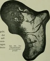 Picture 198 of 282 from Die rheinischen Glasmalereien vom 12. bis zum 16. Jahrhundert (1912), leaf 205