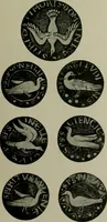 Picture 13 of 282 from Die rheinischen Glasmalereien vom 12. bis zum 16. Jahrhundert (1912), leaf 56