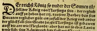 Picture 18 of 36 from Die ritterliche vnnd lobwirdige Reyss, des gestrengen vnd vber all ander weit erfarne Ritter, vnnd Landtfahrer, Herrn Ludovico Vartomans von Bolonia, sagend von den Landen Egypto, Syria, von beiden Arabia, Persia, India, vnd Ethiopia . (1548), leaf 102