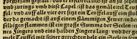 An illustration from Die ritterliche vnnd lobwirdige Reyss, des gestrengen vnd vber all ander weit erfarne Ritter, vnnd Landtfahrer, Herrn Ludovico Vartomans von Bolonia, sagend von den Landen Egypto, Syria, von beiden Arabia, Persia, India, vnd Ethiopia . (1548)