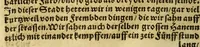 An illustration from Die ritterliche vnnd lobwirdige Reyss, des gestrengen vnd vber all ander weit erfarne Ritter, vnnd Landtfahrer, Herrn Ludovico Vartomans von Bolonia, sagend von den Landen Egypto, Syria, von beiden Arabia, Persia, India, vnd Ethiopia . (1548)