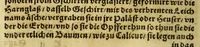 Picture 22 of 36 from Die ritterliche vnnd lobwirdige Reyss, des gestrengen vnd vber all ander weit erfarne Ritter, vnnd Landtfahrer, Herrn Ludovico Vartomans von Bolonia, sagend von den Landen Egypto, Syria, von beiden Arabia, Persia, India, vnd Ethiopia . (1548), leaf 152