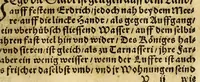 Picture 24 of 36 from Die ritterliche vnnd lobwirdige Reyss, des gestrengen vnd vber all ander weit erfarne Ritter, vnnd Landtfahrer, Herrn Ludovico Vartomans von Bolonia, sagend von den Landen Egypto, Syria, von beiden Arabia, Persia, India, vnd Ethiopia . (1548), leaf 159