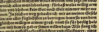 An illustration from Die ritterliche vnnd lobwirdige Reyss, des gestrengen vnd vber all ander weit erfarne Ritter, vnnd Landtfahrer, Herrn Ludovico Vartomans von Bolonia, sagend von den Landen Egypto, Syria, von beiden Arabia, Persia, India, vnd Ethiopia . (1548)
