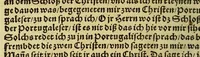 An illustration from Die ritterliche vnnd lobwirdige Reyss, des gestrengen vnd vber all ander weit erfarne Ritter, vnnd Landtfahrer, Herrn Ludovico Vartomans von Bolonia, sagend von den Landen Egypto, Syria, von beiden Arabia, Persia, India, vnd Ethiopia . (1548)