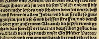 An illustration from Die ritterliche vnnd lobwirdige Reyss, des gestrengen vnd vber all ander weit erfarne Ritter, vnnd Landtfahrer, Herrn Ludovico Vartomans von Bolonia, sagend von den Landen Egypto, Syria, von beiden Arabia, Persia, India, vnd Ethiopia . (1548)