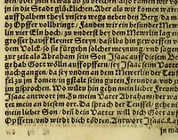 An illustration from Die ritterliche vnnd lobwirdige Reyss, des gestrengen vnd vber all ander weit erfarne Ritter, vnnd Landtfahrer, Herrn Ludovico Vartomans von Bolonia, sagend von den Landen Egypto, Syria, von beiden Arabia, Persia, India, vnd Ethiopia . (1548)