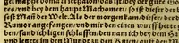 An illustration from Die ritterliche vnnd lobwirdige Reyss, des gestrengen vnd vber all ander weit erfarne Ritter, vnnd Landtfahrer, Herrn Ludovico Vartomans von Bolonia, sagend von den Landen Egypto, Syria, von beiden Arabia, Persia, India, vnd Ethiopia . (1548)