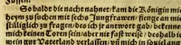 An illustration from Die ritterliche vnnd lobwirdige Reyss, des gestrengen vnd vber all ander weit erfarne Ritter, vnnd Landtfahrer, Herrn Ludovico Vartomans von Bolonia, sagend von den Landen Egypto, Syria, von beiden Arabia, Persia, India, vnd Ethiopia . (1548)