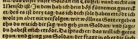 An illustration from Die ritterliche vnnd lobwirdige Reyss, des gestrengen vnd vber all ander weit erfarne Ritter, vnnd Landtfahrer, Herrn Ludovico Vartomans von Bolonia, sagend von den Landen Egypto, Syria, von beiden Arabia, Persia, India, vnd Ethiopia . (1548)