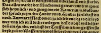 Picture 11 of 36 from Die ritterliche vnnd lobwirdige Reyss, des gestrengen vnd vber all ander weit erfarne Ritter, vnnd Landtfahrer, Herrn Ludovico Vartomans von Bolonia, sagend von den Landen Egypto, Syria, von beiden Arabia, Persia, India, vnd Ethiopia . (1548), leaf 80