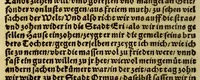 An illustration from Die ritterliche vnnd lobwirdige Reyss, des gestrengen vnd vber all ander weit erfarne Ritter, vnnd Landtfahrer, Herrn Ludovico Vartomans von Bolonia, sagend von den Landen Egypto, Syria, von beiden Arabia, Persia, India, vnd Ethiopia . (1548)