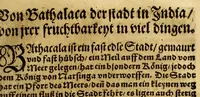 Picture 16 of 36 from Die ritterliche vnnd lobwirdige Reyss, des gestrengen vnd vber all ander weit erfarne Ritter, vnnd Landtfahrer, Herrn Ludovico Vartomans von Bolonia, sagend von den Landen Egypto, Syria, von beiden Arabia, Persia, India, vnd Ethiopia . (1548), leaf 95