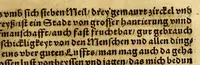 An illustration from Die ritterliche vnnd lobwirdige Reyss, des gestrengen vnd vber all ander weit erfarne Ritter, vnnd Landtfahrer, Herrn Ludovico Vartomans von Bolonia, sagend von den Landen Egypto, Syria, von beiden Arabia, Persia, India, vnd Ethiopia . (1548)