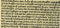 An illustration from Die ritterlich vnd lobwirdig Raiss des gestre[n]gen vnd über all ander weyt erfarnen Ritters vn[d] Landtfarers, Herren Ludowico Vartomans von Bolonia. Sagent vo[n] den Landen Egipto. Syria, vo[n] bayden Arabia. Persia. India. vn[d] Ethiopia . (1518)