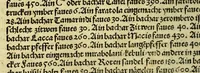 An illustration from Die ritterlich vnd lobwirdig Raiss des gestre[n]gen vnd über all ander weyt erfarnen Ritters vn[d] Landtfarers, Herren Ludowico Vartomans von Bolonia. Sagent vo[n] den Landen Egipto. Syria, vo[n] bayden Arabia. Persia. India. vn[d] Ethiopia . (1518)
