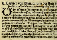 An illustration from Die ritterlich vnd lobwirdig Raiss des gestre[n]gen vnd über all ander weyt erfarnen Ritters vn[d] Landtfarers, Herren Ludowico Vartomans von Bolonia. Sagent vo[n] den Landen Egipto. Syria, vo[n] bayden Arabia. Persia. India. vn[d] Ethiopia . (1518)