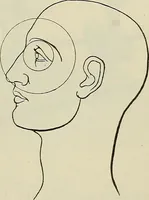 An illustration from Die Röntgentechnik : Lehrbuch für Ärzte und Studierende (1906)